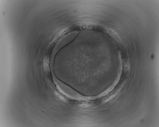 X0000095531060200712211320
