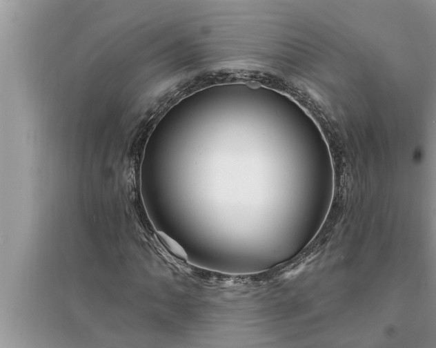 X0000095531062200712211320