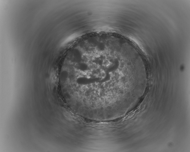 X0000095531063200712211320