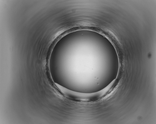 X0000095531065200712211320