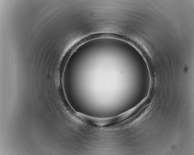 X0000095531069200712211320