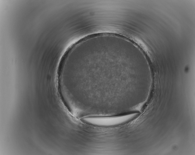 X0000095531072200712211320