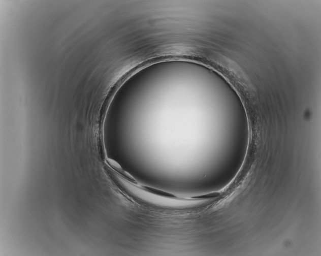 X0000095531073200712211320