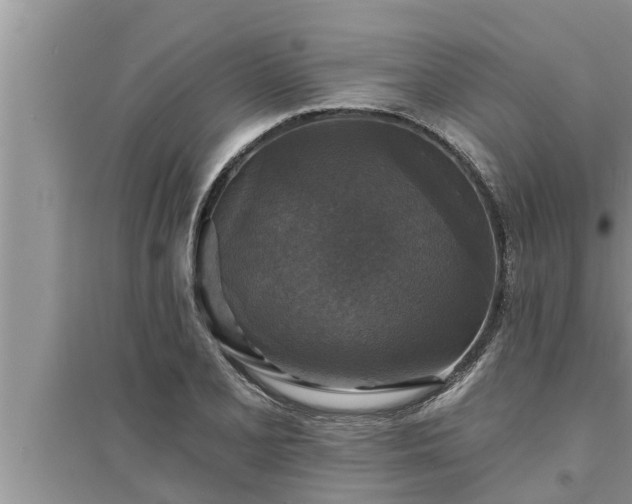 X0000095531077200712211320