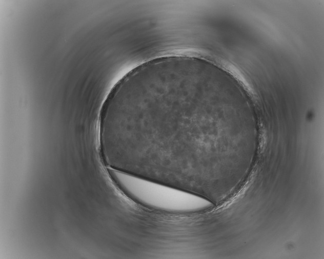 X0000095531079200712211320
