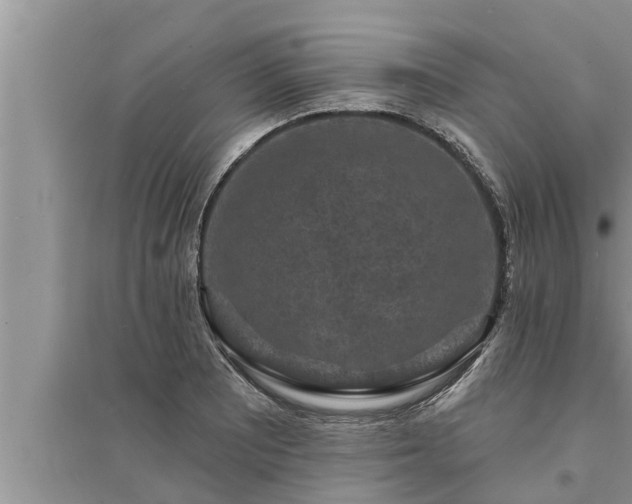 X0000095531081200712211320