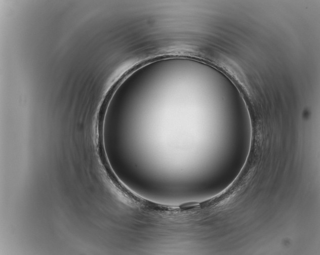 X0000095531082200712211320