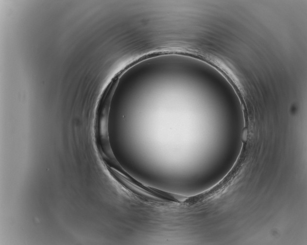 X0000095531093200712211320