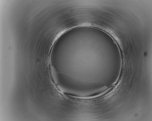 X0000095531097200712211319