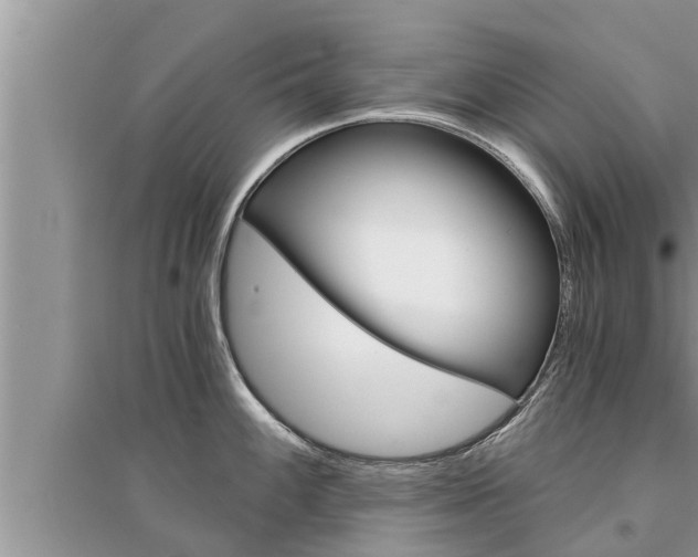 X0000095531100200712211319