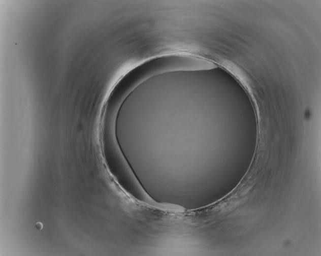 X0000095531104200712211319