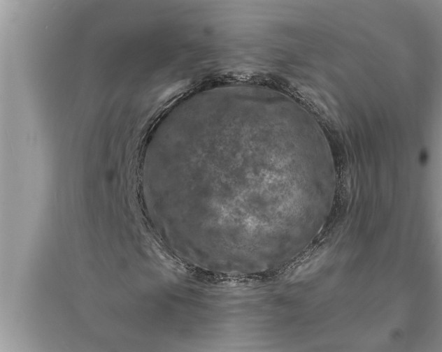 X0000095531105200712211319