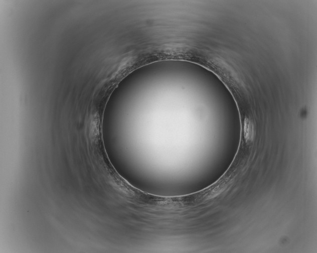 X0000095531107200712211319