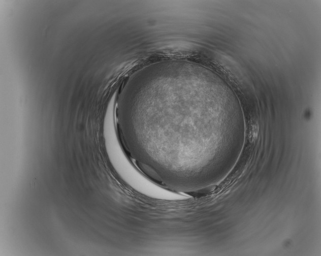 X0000095531108200712211319