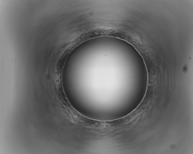 X0000095531109200712211319
