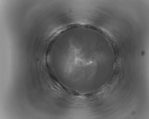 X0000095531110200712211319
