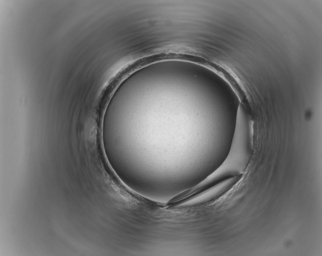 X0000095531115200712211319