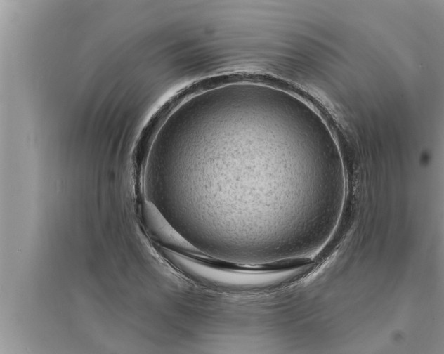 X0000095531118200712211319