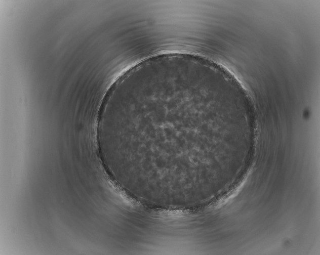 X0000095531121200712211319