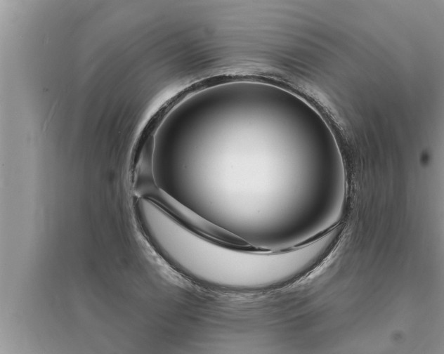 X0000095531122200712211319