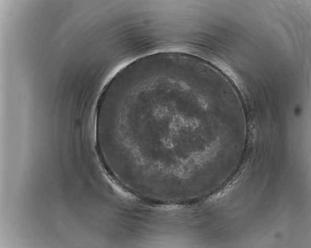 X0000095531127200712211319