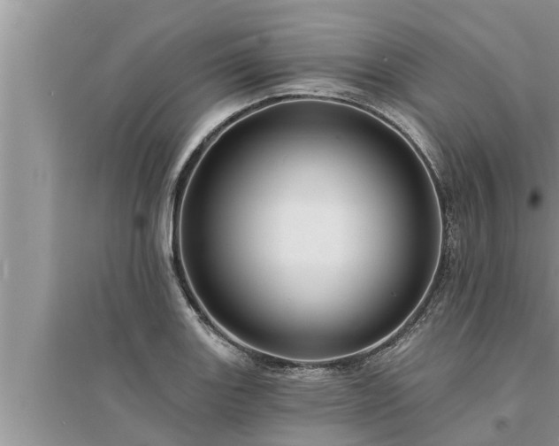 X0000095531131200712211319