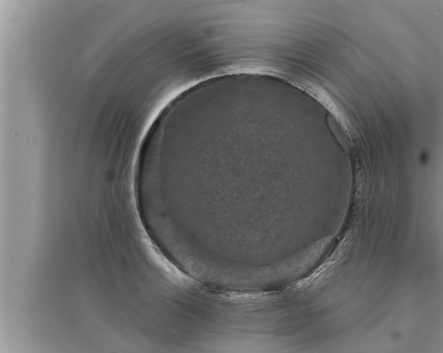 X0000095531132200712211319