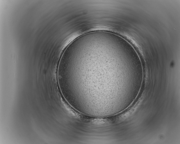 X0000095531137200712211319