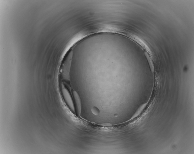 X0000095531138200712211319