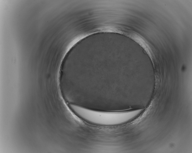 X0000095531141200712211319