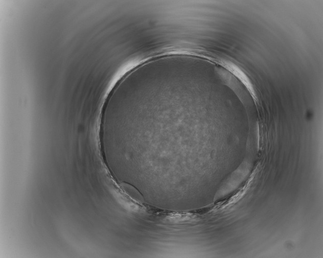 X0000095531146200712211319
