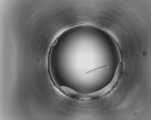 X0000095531151200712211319