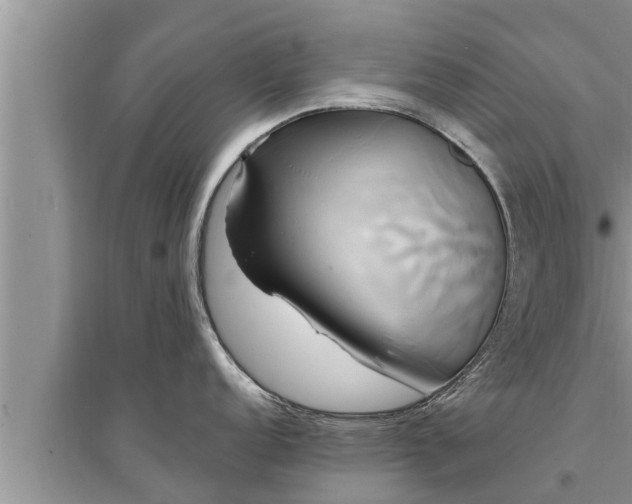 X0000095531152200712211319