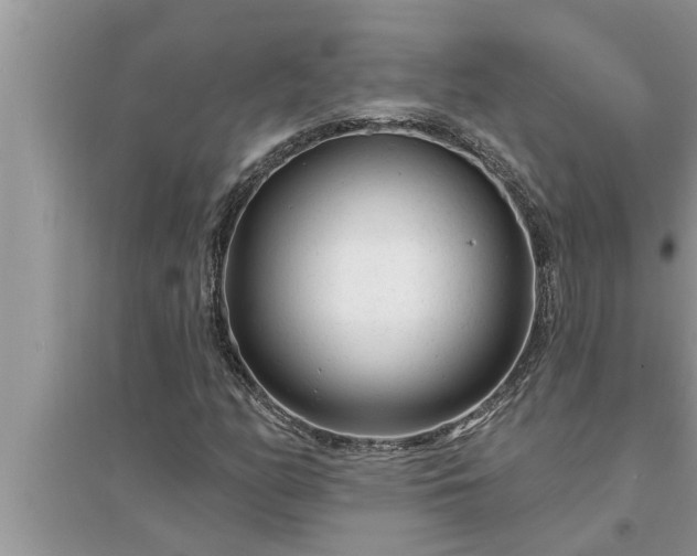 X0000095531158200712211318
