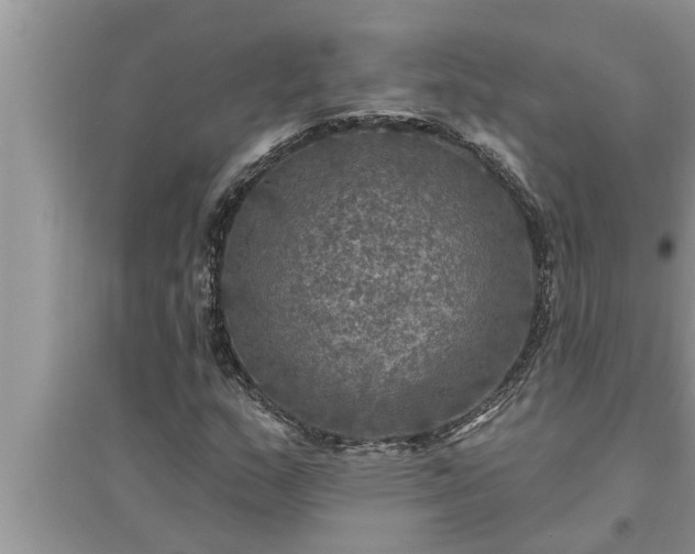 X0000095531159200712211318