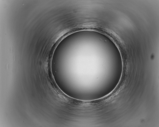 X0000095531162200712211318