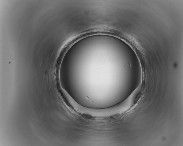 X0000095531164200712211318