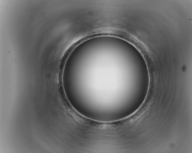 X0000095531166200712211318