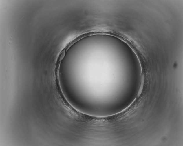 X0000095531168200712211318