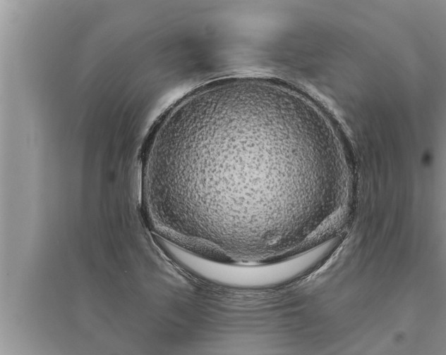 X0000095531171200712211318