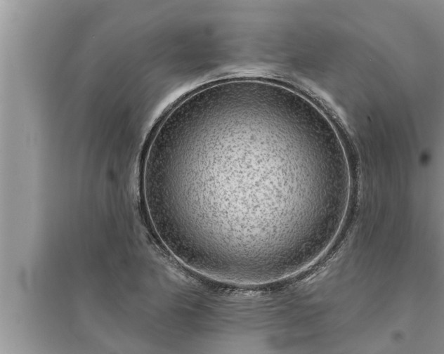 X0000095531174200712211318