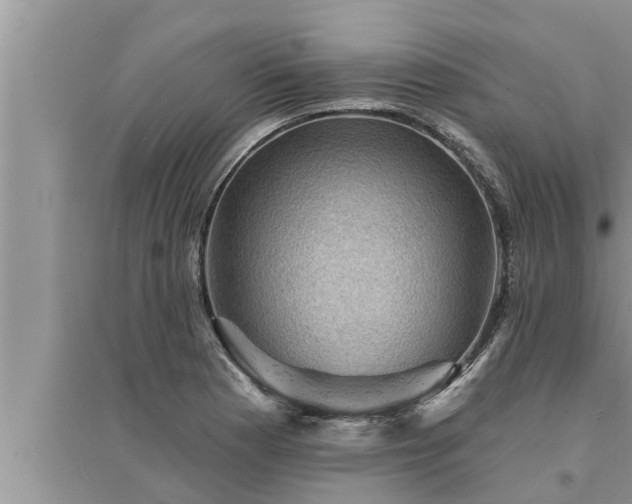 X0000095531177200712211318