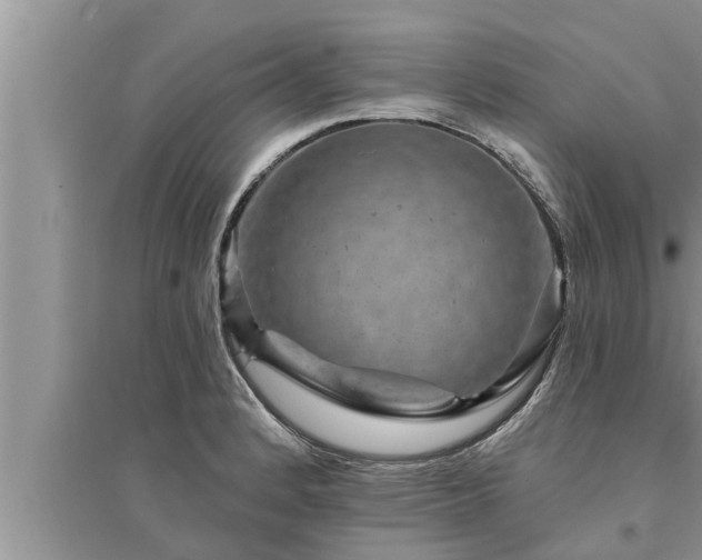 X0000095531184200712211318