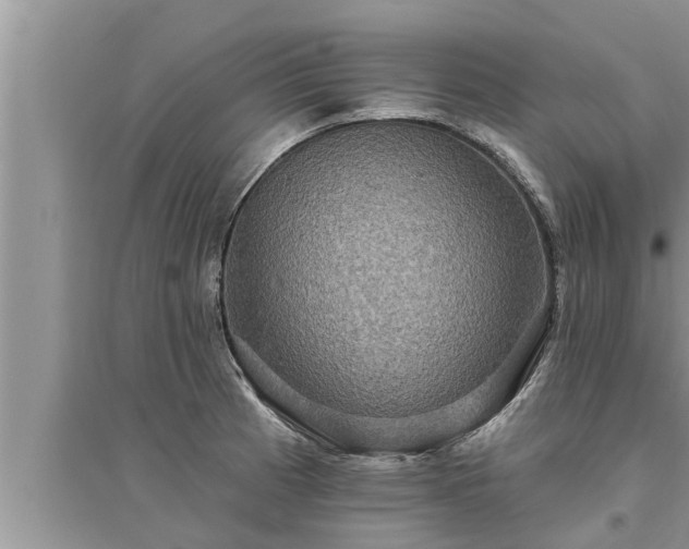 X0000095531185200712211318
