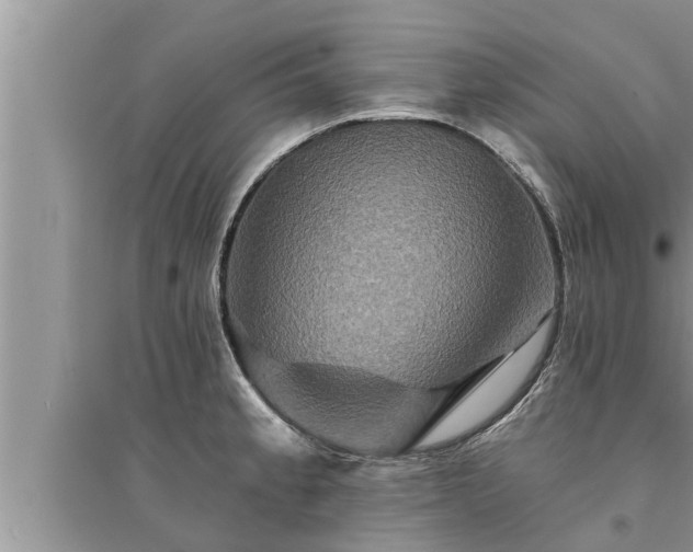X0000095531189200712211318