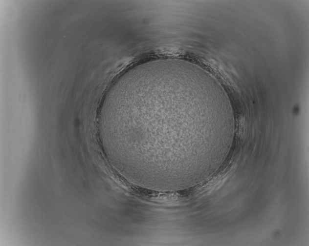 X0000095531201200712211317