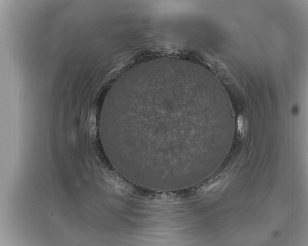 X0000095531203200712211317