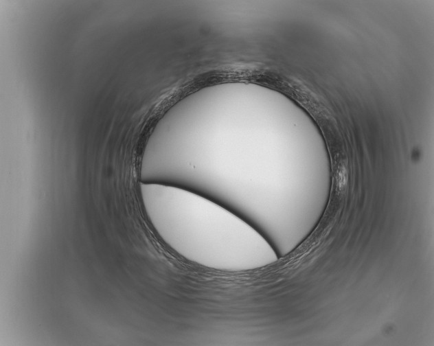 X0000095531204200712211317