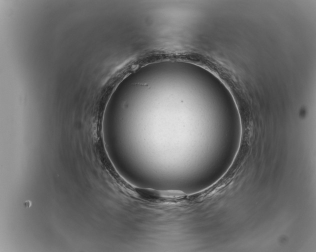 X0000095531205200712211317