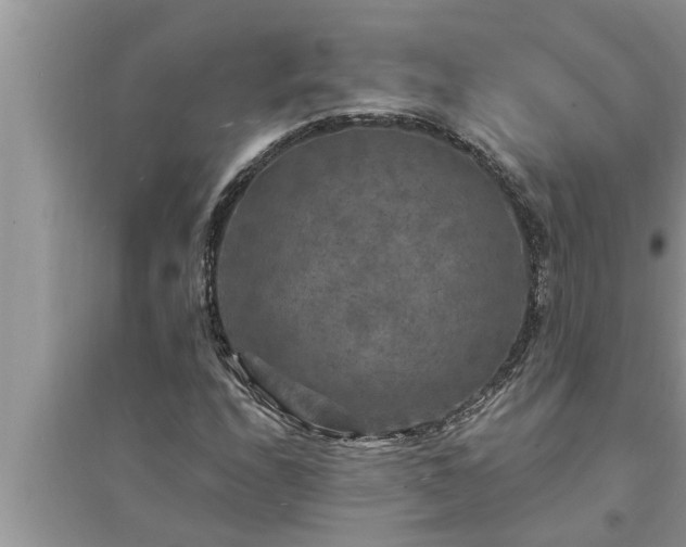 X0000095531208200712211317